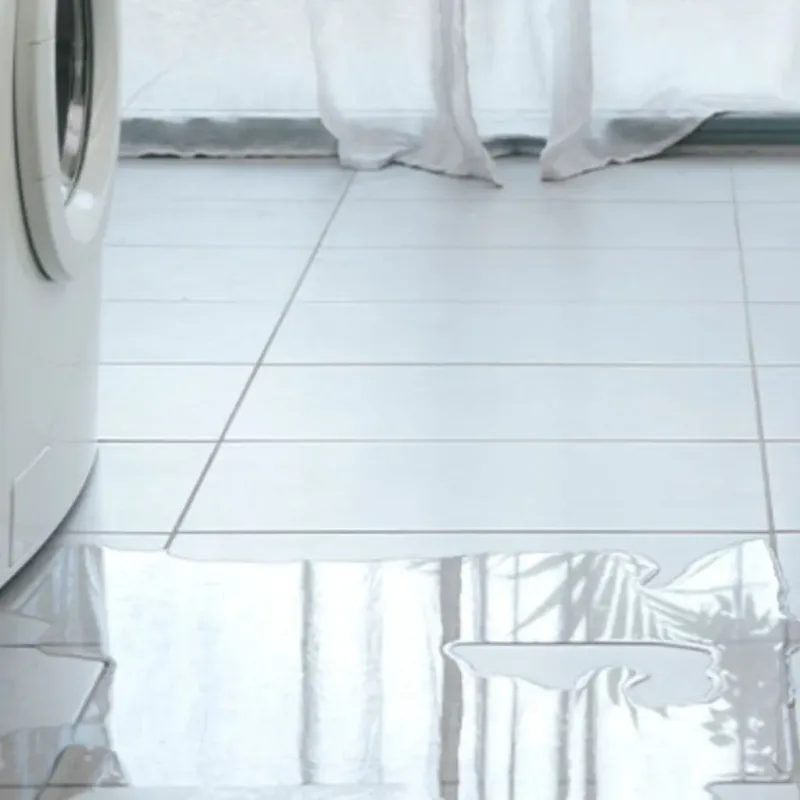 Appliance Leak Cleanup in Muscatine, IA