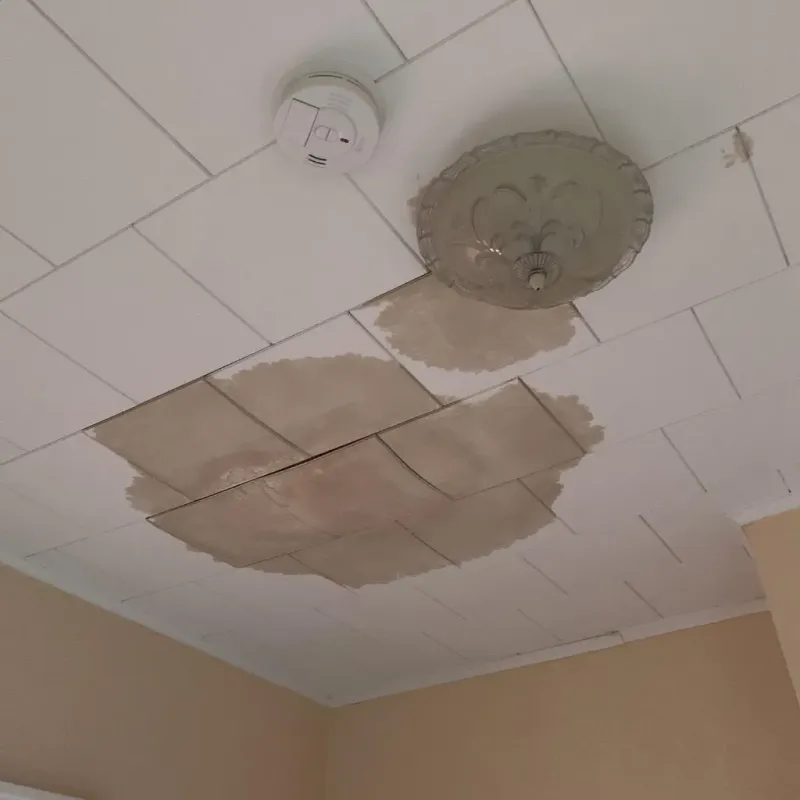 Ceiling Water Damage Repair in Muscatine, IA