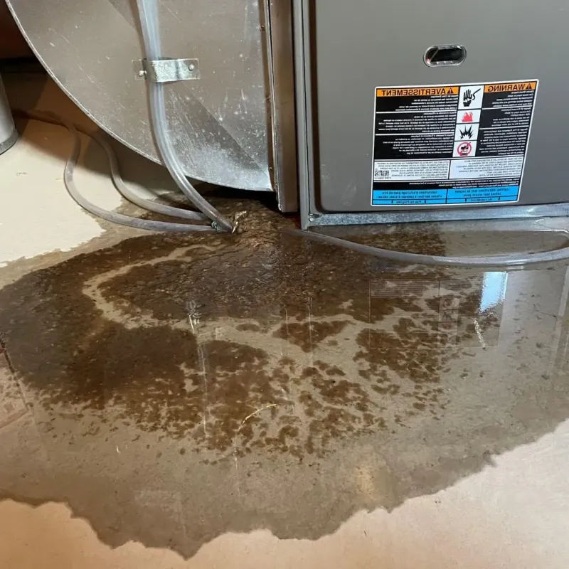 Pipe Burst and Leak Restoration in Muscatine, IA