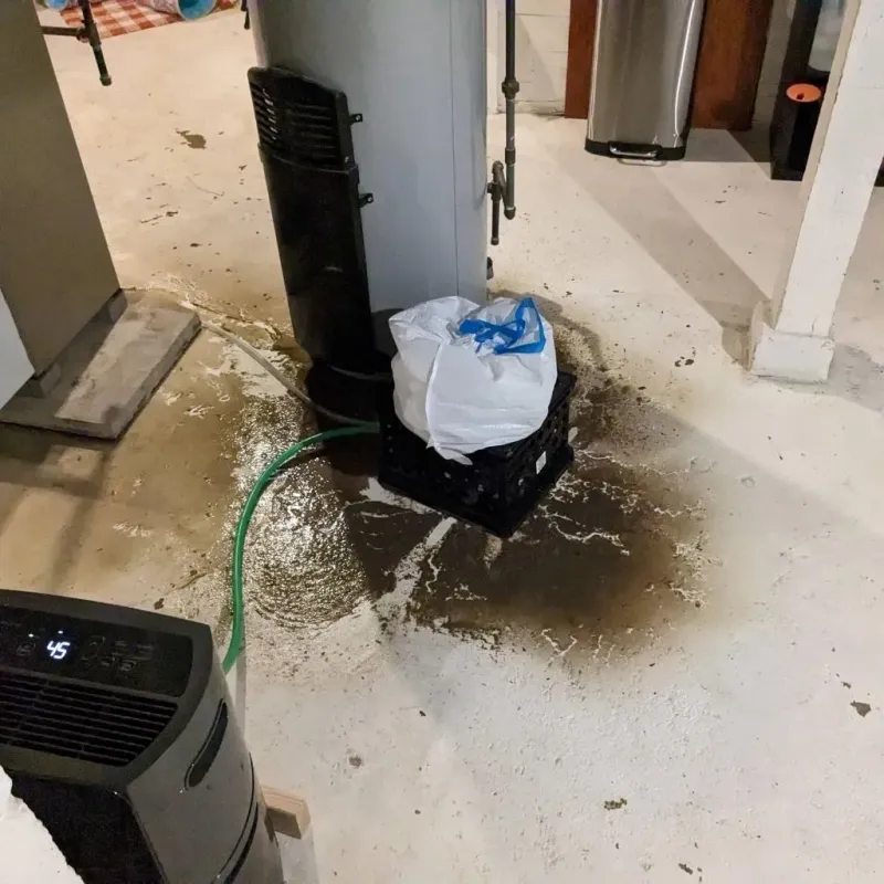 Sewage Backup Cleanup Service in Muscatine, IA